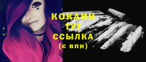 твердый Надым