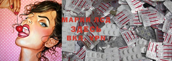 PSILOCYBIN Гусев