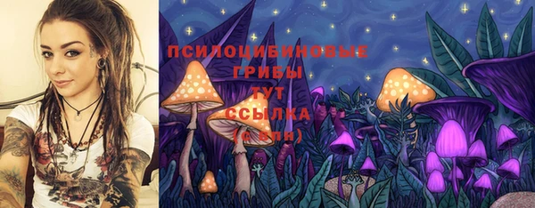 твердый Надым